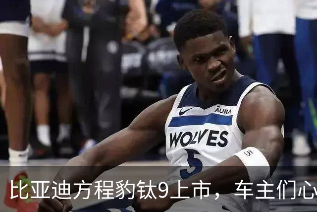 比亚迪方程豹钛9上市，车主们心情瞬间变复杂！