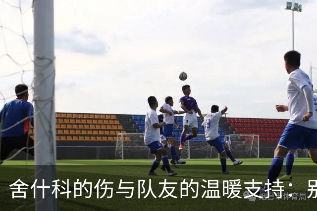 舍什科的伤与队友的温暖支持：别怕外界的流言蜚语！